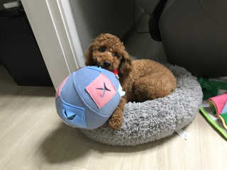 JungHyunKim님이 올린 리뷰 사진 2