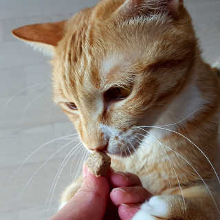 미야님이 올린 리뷰 사진 4
