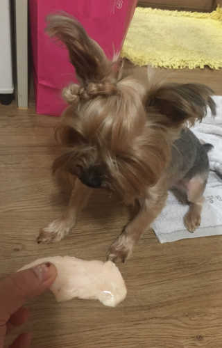 미누시아 촉촉한 닭안심 + 홍삼발효 훈제 말고기 — 5점을 준 리뷰어가 2018년 6월 올린 사용 사진