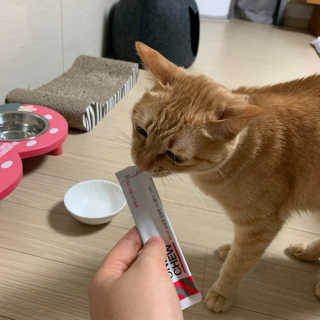 수경이야님이 올린 리뷰 사진 2
