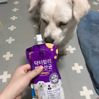 닥터할리펫밀크 8종 — 5점을 준 리뷰어가 2019년 5월 올린 사용 사진
