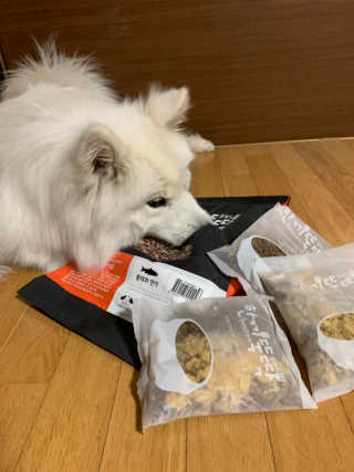 [펫토리아] 맛도 영양도 BEST 한끼뚝딱 강아지 사료 — 5점을 준 리뷰어가 2018년 12월 올린 사용 사진