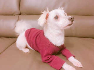 홍님이 올린 리뷰 사진 2