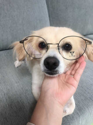 DDoA님이 올린 리뷰 사진 1