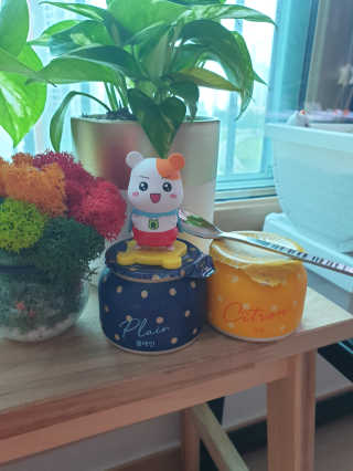 [매일 바이오] 생크림요거트 플레인 12개 + 유자 12개 — 5점을 준 리뷰어가 2019년 7월 올린 사용 사진