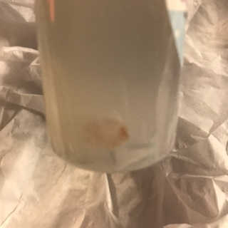 trishasreviews님이 올린 리뷰 사진 2
