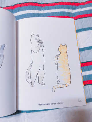 후씅씅님이 올린 리뷰 사진 2