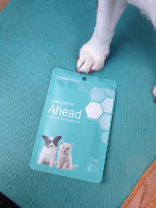 beaglelove님이 올린 리뷰 사진 1