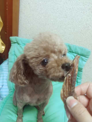 땡그리땡자님이 올린 리뷰 사진 3
