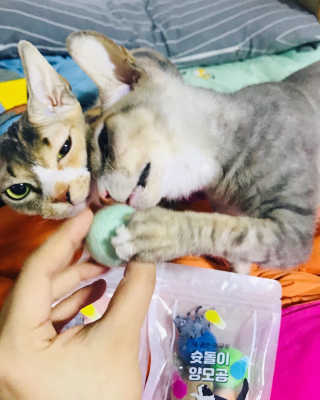 이아님이 올린 리뷰 사진 1