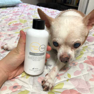 이솔화장품 이솔 세범 리스 포어 토너 200ml — 5점을 준 리뷰어가 2018년 8월 올린 사용 사진