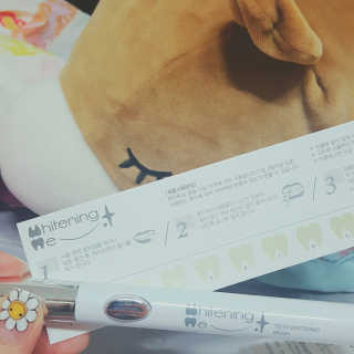다소니님이 올린 리뷰 사진 1