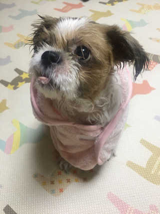 스윽님이 올린 리뷰 사진 1