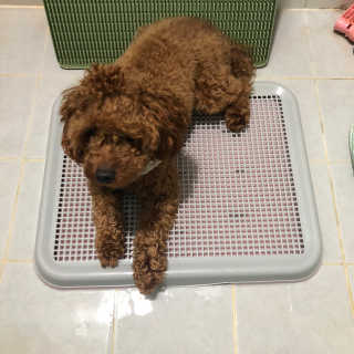 칸쵸님이 올린 리뷰 사진 4