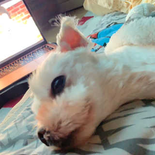 연쥬연쥬님이 올린 리뷰 사진 3