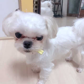 이현님이 올린 리뷰 사진 2