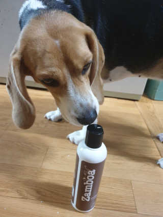 beaglelove님이 올린 리뷰 사진 1