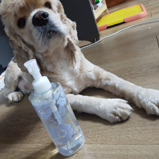 PYJ님이 올린 리뷰 사진 1