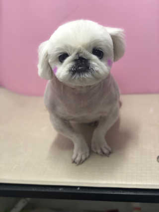 SeRyeonfit님이 올린 리뷰 사진 1