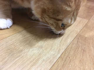 arian님이 올린 리뷰 사진 3