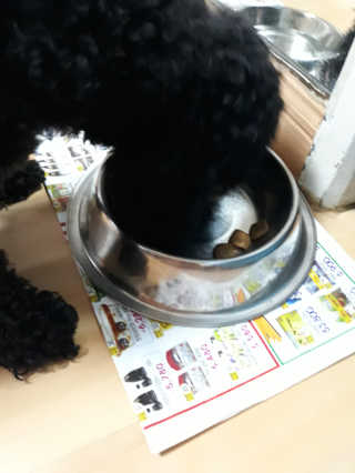 쪼롱님이 올린 리뷰 사진 2