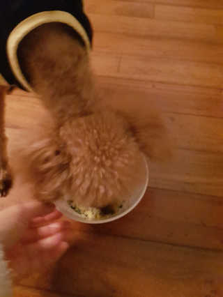 귱귱님이 올린 리뷰 사진 1