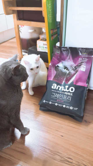 코코야옹님이 올린 리뷰 사진 1
