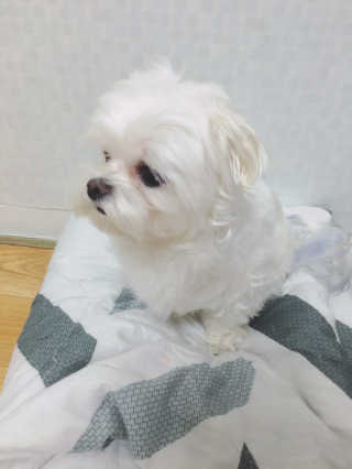 홍지윤님이 올린 리뷰 사진 3