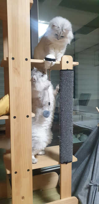 바다의해님이 올린 리뷰 사진 3