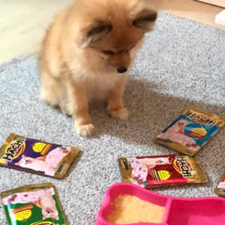 zzii님이 올린 리뷰 사진 3