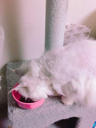 용용이님이 올린 리뷰 사진 2