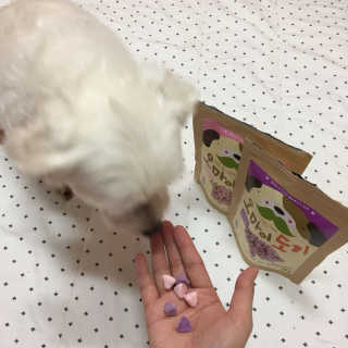 서인맘님이 올린 리뷰 사진 2