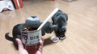 히노니님이 올린 리뷰 사진 1