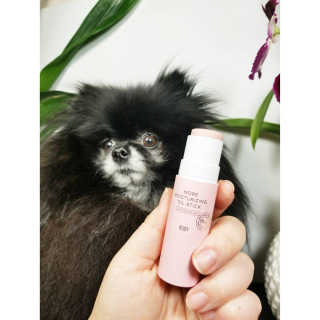 Peepingpomeranian님이 올린 리뷰 사진 1