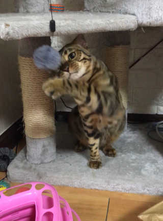 Erika님이 올린 리뷰 사진 3