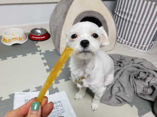 김상호님이 올린 리뷰 사진 3