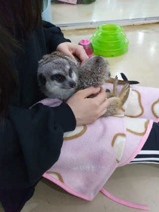 annnnna님이 올린 리뷰 사진 2