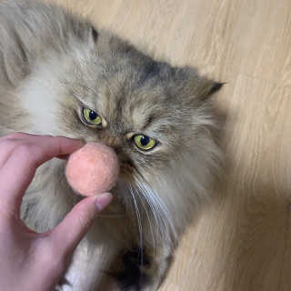 쏘e님이 올린 리뷰 사진 1