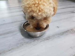 박수영님이 올린 리뷰 사진 2