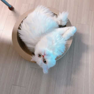 윤느님이 올린 리뷰 사진 1