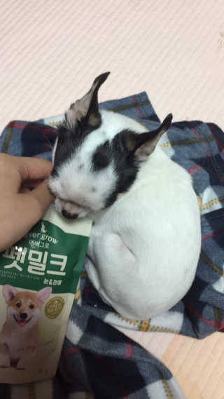 ❤️둔순이❤️님이 올린 리뷰 사진 1