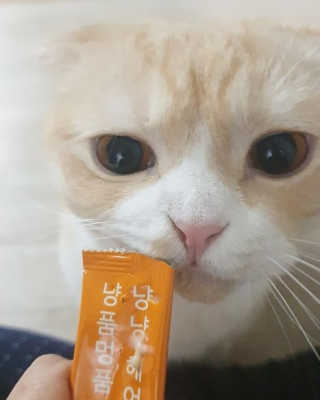 란아님이 올린 리뷰 사진 2