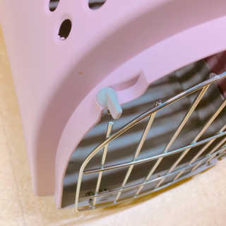 율집사님이 올린 리뷰 사진 4