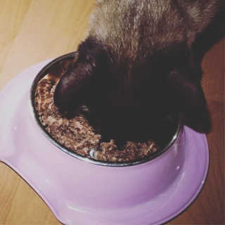 오토토님이 올린 리뷰 사진 2