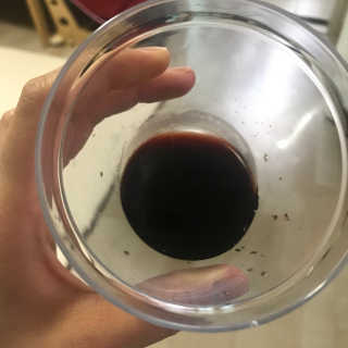 KyungmiShin님이 올린 리뷰 사진 2