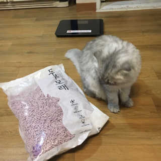 hyoju098님이 올린 리뷰 사진 2