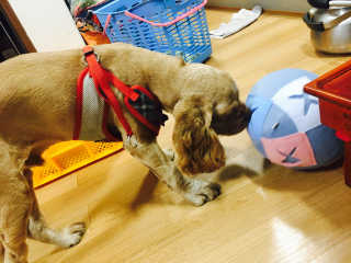 이은진님이 올린 리뷰 사진 1