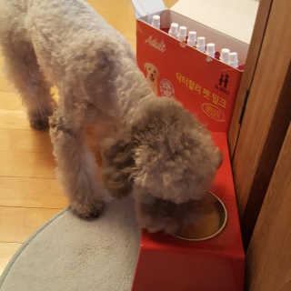sonu님이 올린 리뷰 사진 1