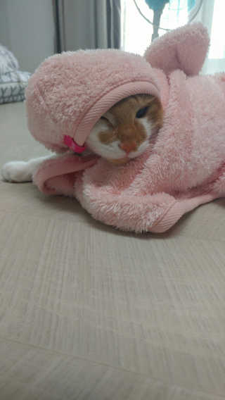 오나오나님이 올린 리뷰 사진 3