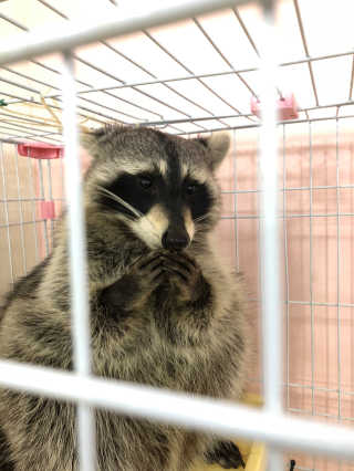 바니짱님이 올린 리뷰 사진 3